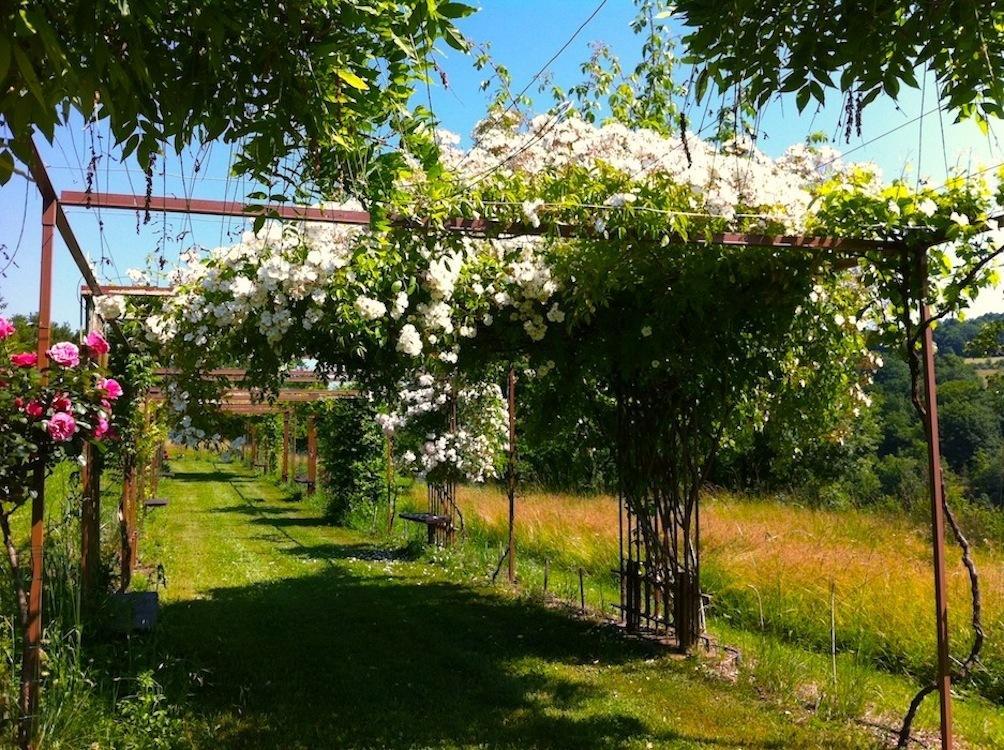 Bed and Breakfast Mas Del Lum Boussac  Exterior foto